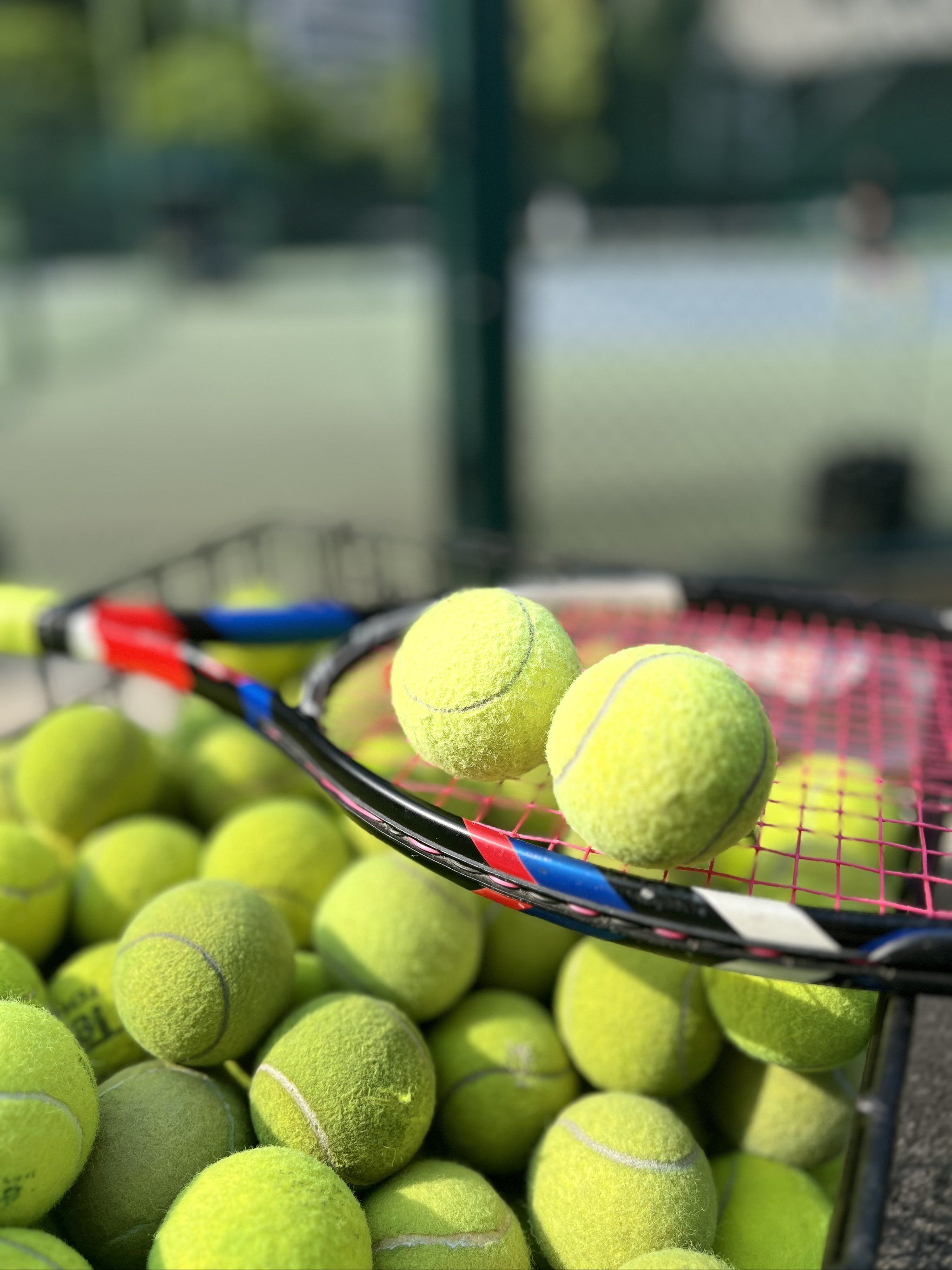 名的成绩顺 名的成绩顺