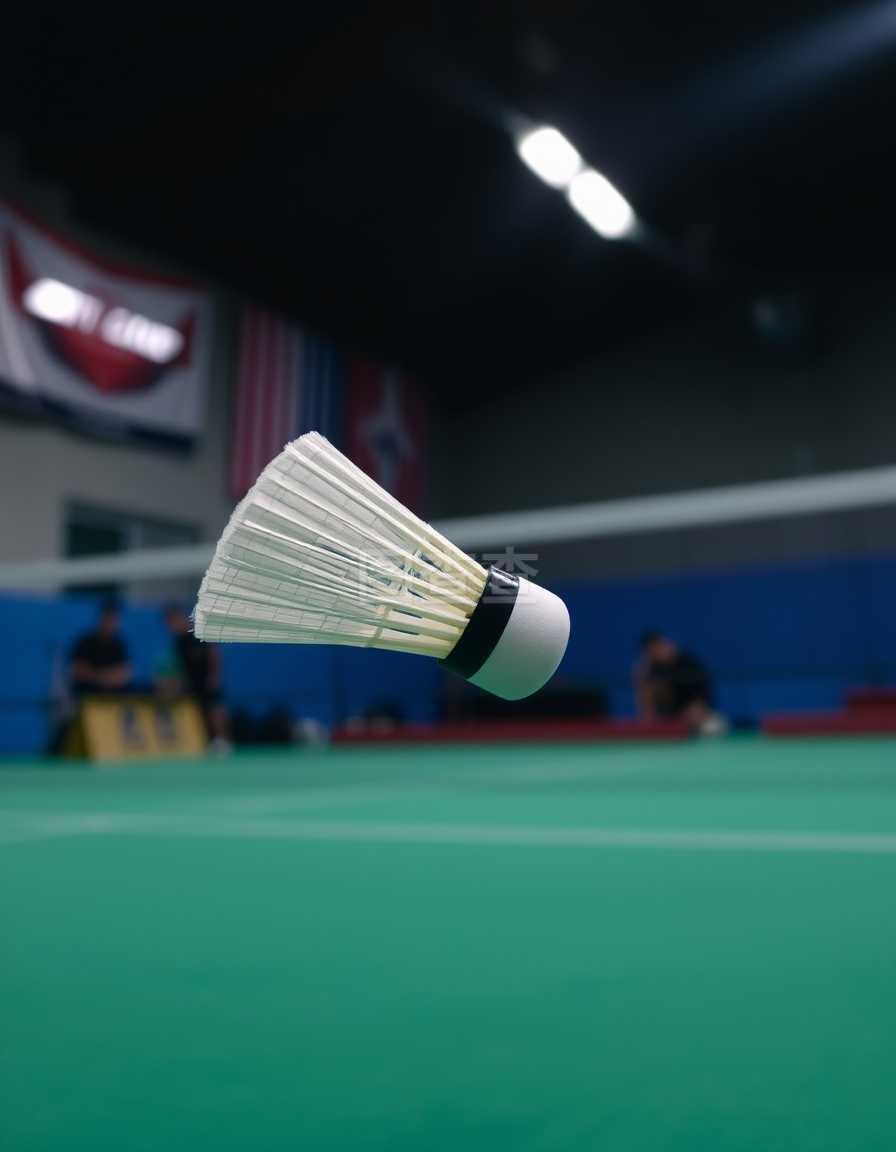 已让人眼花 已让人眼花