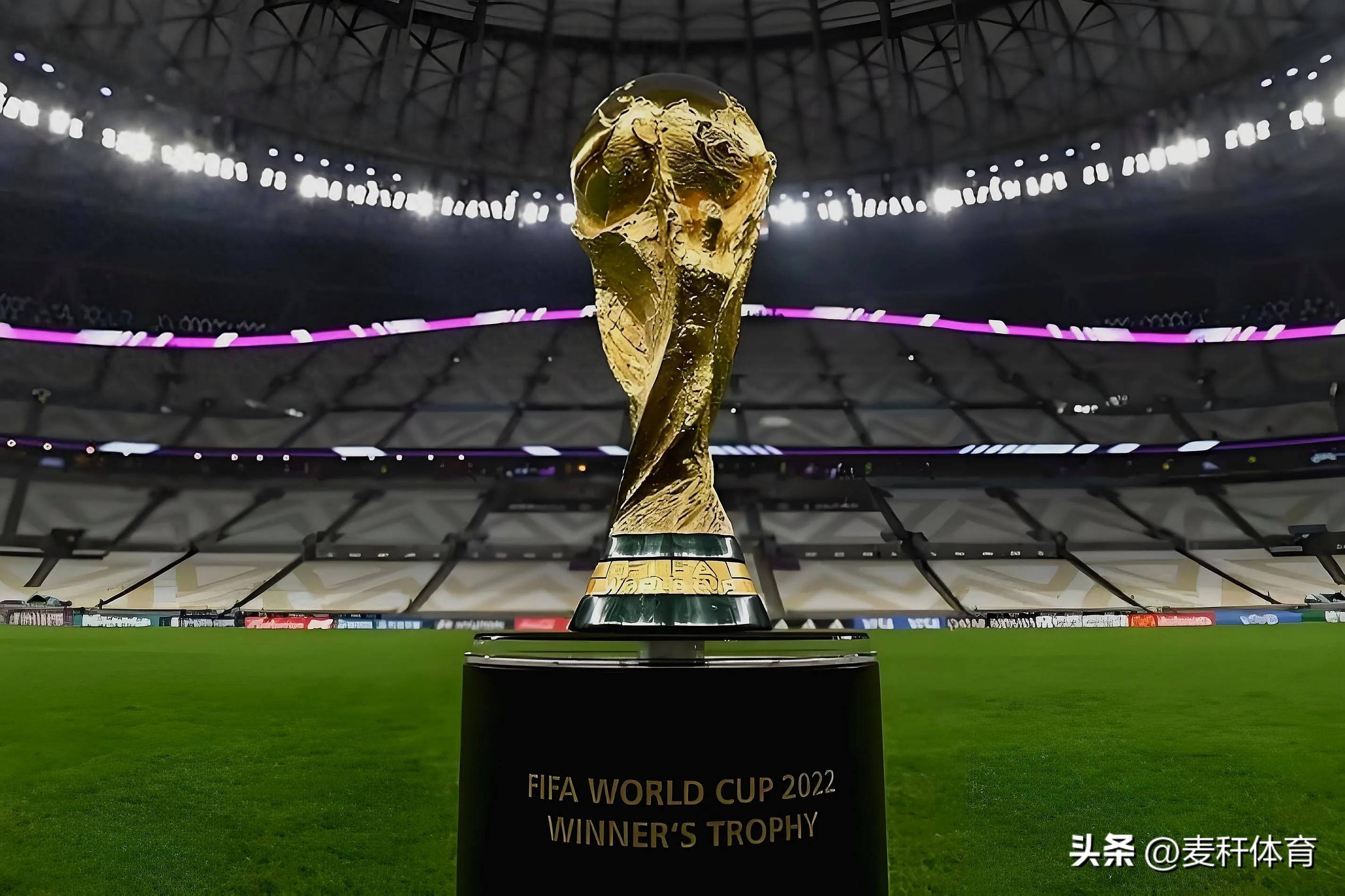 会上取得的 会上取得的